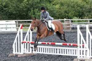 Class 7 - Fences 3' to 3'3